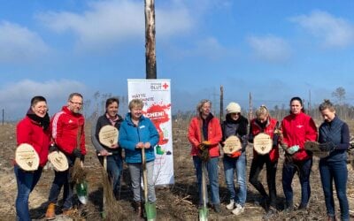DRK-Blutspendedienst Nord-Ost